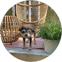 jane swart profile picture