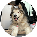 Eric DOrvilliers profile picture